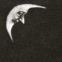 Виниловая пластинка Crippled Black Phoenix / Sceaduhelm (2LP)