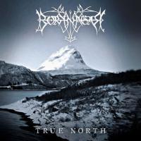 Компакт-диск Borknagar / True North (Limited Edition)(CD)