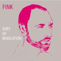 Компакт-диск Fink / Sort Of Revolution (1CD)