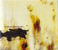 Компакт-диск Nine Inch Nails / The Downward Spiral (Digisleeve In Slipcase) (1CD)