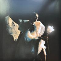 Виниловая пластинка Telenova / Time Is A Flower (Marbled Vinyl) (1LP)