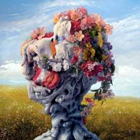 Компакт-диск Wilderun / Veil Of Imagination (Limited Edition)(CD)