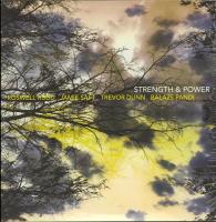 Виниловая пластинка Roswell Rudd / Strength And Power (2LP)
