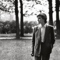 Виниловая пластинка David Sylvian / Brilliant Trees (coloured) (1LP)