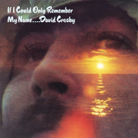 Виниловая пластинка David Crosby / If I Could Only Remember My Name (45 RPM, Limited) (2LP)