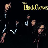Виниловая пластинка The Black Crowes / Shake Your Money Maker (LP)