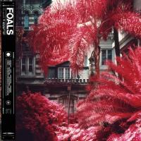 Виниловая пластинка Foals / Everything Not Saved Will Be Lost Part 1 (LP)