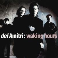 Компакт-диск Del Amitri / Waking Hours (Deluxe Edition)(2CD)