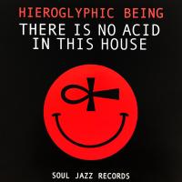 Виниловая пластинка Hieroglyphic Being / There Is No Acid In This House (2LP)
