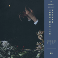 Виниловая пластинка Keaton Henson / Somnambulant Cycles (1LP)