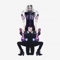 Виниловая пластинка Prince & 3RDEYEGIRL / Plectrumelectrum (LP)