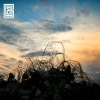 Виниловая пластинка Gosta Berlings Saga / Konkret Musik (LP+CD)