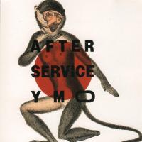 Виниловая пластинка Yellow Magic Orchestra / After service (2LP)