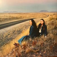 Виниловая пластинка PLAINS / I WALKED WITH YOU A WAYS (CLEAR VINYL) (1LP)