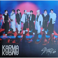Виниловая пластинка Stray Kids / Karma (coloured) (1LP)
