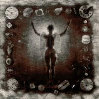 Виниловая пластинка Ministry / Psalm 69 (LP)