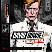 Виниловая пластинка David Bowie / Tokyo rebel (grey marble vinyl) (2LP)