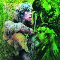 Виниловая пластинка MAYALL JOHN & THE BLUESBREAKERS / BLUES FROM LAUREL CANYON (1LP)