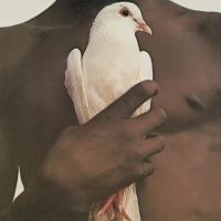 Виниловая пластинка Santana / Santana's Greatest Hits (LP)