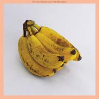 Виниловая пластинка Mac Mccaughan / The Sound Of Yourself (Coloured Vinyl) (1LP)