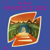 Виниловая пластинка Nik Raicevic / Magnetic Web (1LP)