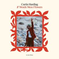 Компакт-диск Curtis Harding / If Words Were Flowers (Digisleeve) (1CD)