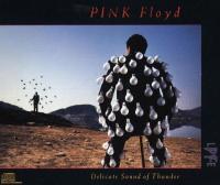 Компакт-диск Pink Floyd / Delicate Sound Of Thunder (2CD)
