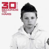 Виниловая пластинка Thirty Seconds To Mars / 30 Seconds To Mars (2LP)