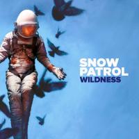 Виниловая пластинка Snow Patrol / Wildness (2xLP Limited Edition Colored Vinyl)