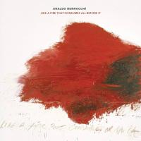 Виниловая пластинка Eraldo Bernocchi / Like a fire that consumes all before it (2LP)