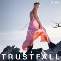 Виниловая пластинка PINK / TRUSTFALL (1LP) Виниловая пластинка PINK / TRUSTFALL (1LP)