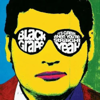 Виниловая пластинка Black Grape / It's great when you're straight… yeah (coloured) (1LP)