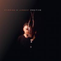 Виниловая пластинка Stimming x Lambert / Positive