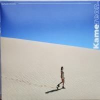 Виниловая пластинка Susan Wong / Kamereon (1LP)