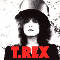 Виниловая пластинка T. Rex / The Slider (1LP)