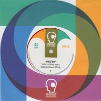 Виниловая пластинка HINTERHOF - PLAY FOR TODAY / SPLIT 7 (1LP)