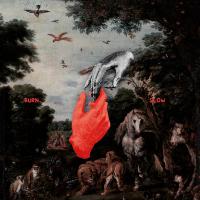 Виниловая пластинка CHRIS LIEBING / BURN SLOW - LTD EDT (2LP)