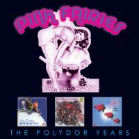 Компакт-диск Pink Fairies / The Polydor Years (3CD)