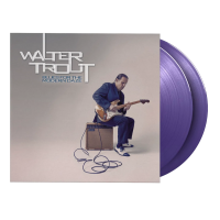 Виниловая пластинка Walter Trout / Blues For the Modern Daze (Purple) (2LP)