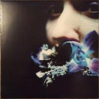 Виниловая пластинка Circuit Des Yeux / Reaching For Indigo (1LP)