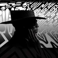 Компакт-диск Raphael Saadiq / Jimmy Lee (CD)