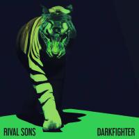Виниловая пластинка RIVAL SONS / Darkfighter (Clear Vinyl) (1LP)
