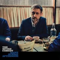 Виниловая пластинка The Divine Comedy / Rainy Sunday Afternoon (1LP)