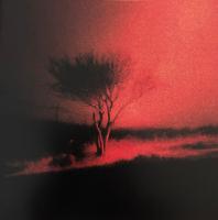 Компакт-диск Joji / Piss in the wind (Jewel)(1CD)