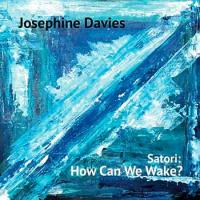Виниловая пластинка JOSEPHINE DAVIES / HOW CAN WE WAKE? (1LP)