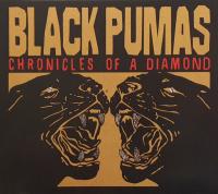 Компакт-диск Black Pumas / Chronicles Of A Diamond (Digisleeve) (1CD)