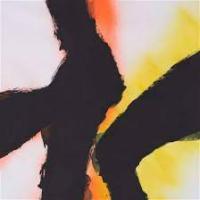 Виниловая пластинка Rob Mazurek & Emmett Kelly / Alien Flower Sutra (1LP)