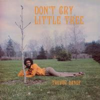 Виниловая пластинка Trevor Dandy / Don'T Cry Little Tree (LP)