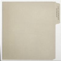 Виниловая пластинка Rex Orange County / The alexander technique (2LP)