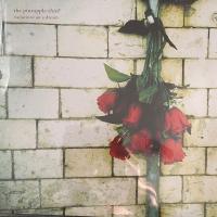 Виниловая пластинка The Pineapple Thief / Variations On A Dream (Black) (1LP)